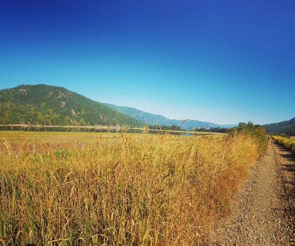 Shuswap North Okanagan Rail Trail Construction Moving Ahead Following ALC Decision Shuswap North Okanagan Rail Trail Construction Moving Ahead Following ALC Decision
